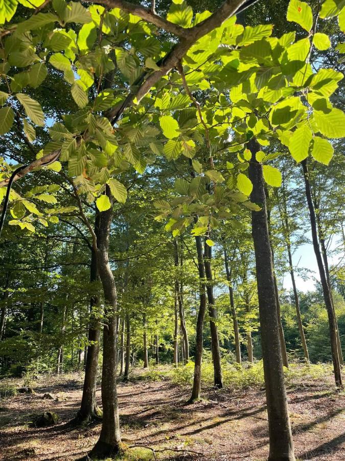 Naturglamping Kristianstad Bagian luar foto