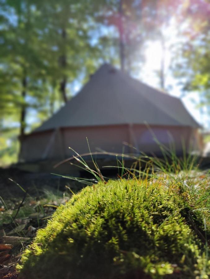 Naturglamping Kristianstad Bagian luar foto